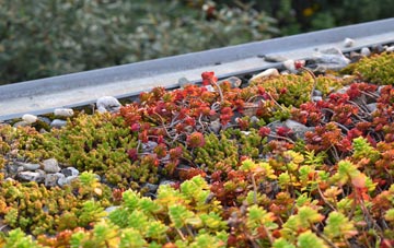 the cost of Mardu green roof installation