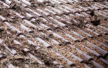 Mardu roof cleaning companies