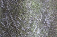 Mardu fibreglass roof work